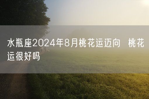 水瓶座2024年8月桃花运迈向  桃花运很好吗(图1)