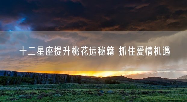 十二星座提升桃花运秘籍 抓住爱情机遇(图1)
