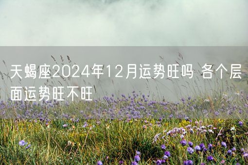 天蝎座2024年12月运势旺吗 各个层面运势旺不旺(图1)