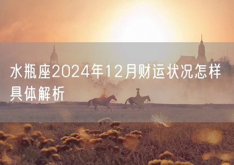 水瓶座2024年12月财运状况怎样 具体解析(图1)