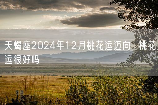 天蝎座2024年12月桃花运迈向  桃花运很好吗(图1)