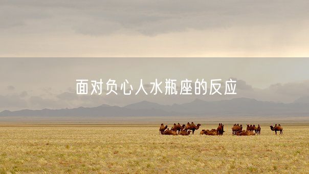 面对负心人水瓶座的反应(图1)