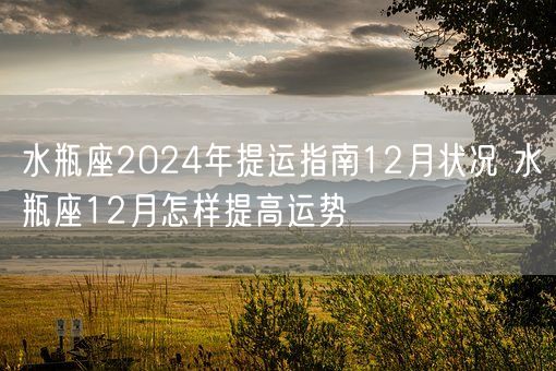 水瓶座2024年提运指南12月状况 水瓶座12月怎样提高运势(图1)