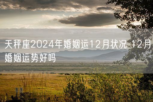 天秤座2024年婚姻运12月状况 12月婚姻运势好吗(图1)