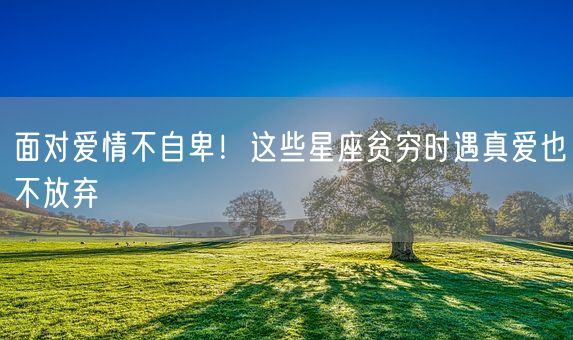 面对爱情不自卑！这些星座贫穷时遇真爱也不放弃(图1)