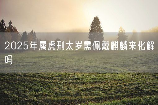 2025年属虎刑太岁需佩戴麒麟来化解吗(图1)