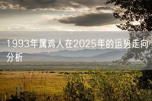 1993年属鸡人在2025年的运势走向分析(图1)