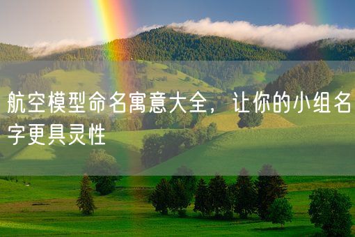 航空模型命名寓意大全,让你的小组名字更具灵性(图1) 航空模型命名寓意大全,让你的小组名字更具灵性(图1)