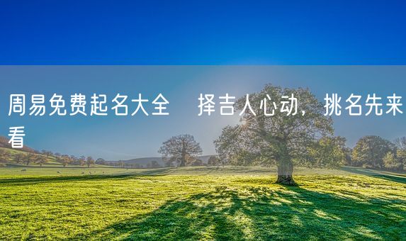 周易免费起名大全 择吉人心动,挑名先来看(图1) 周易免费起名大全 择吉人心动,挑名先来看(图1)