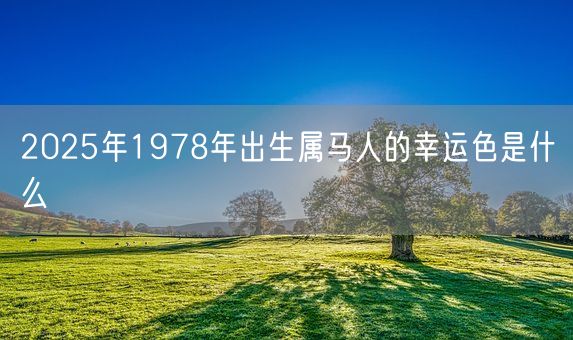 2025年1978年出生属马人的幸运色是什么(图1)