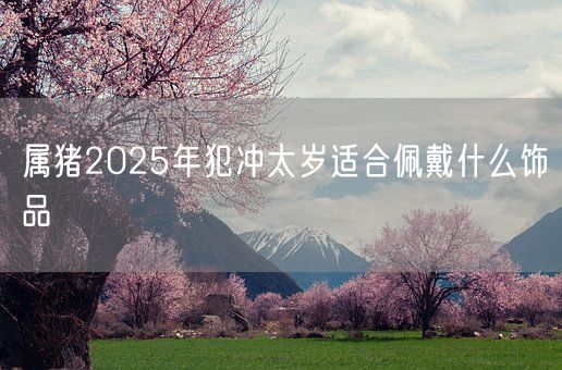 属猪2025年犯冲太岁适合佩戴什么饰品(图1) 属猪2025年犯冲太岁适合佩戴什么饰品(图1)
