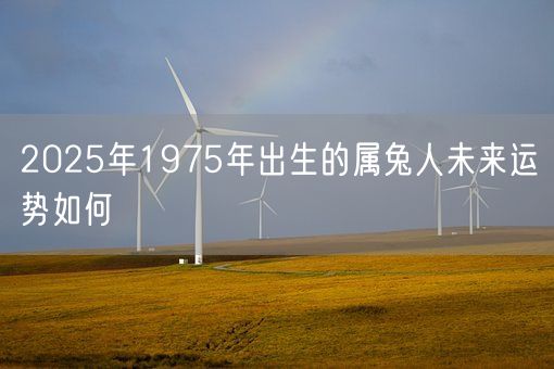 2025年1975年出生的属兔人未来运势如何(图1) 2025年1975年出生的属兔人未来运势如何(图1)