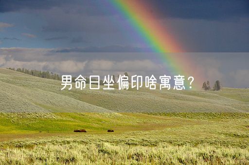 男命日坐偏印啥寓意？(图1)