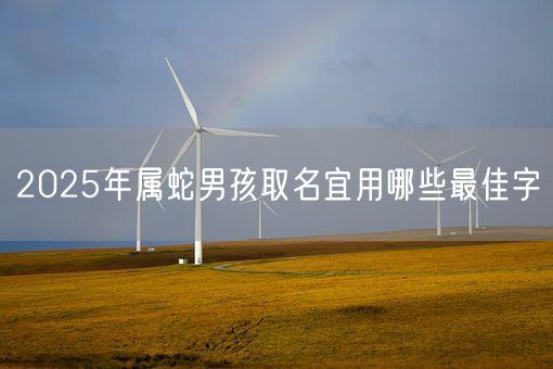 2025年属蛇男孩取名宜用哪些最佳字(图1) 2025年属蛇男孩取名宜用哪些最佳字(图1)
