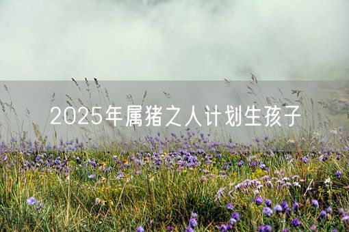 2025年属猪之人计划生孩子(图1) 2025年属猪之人计划生孩子(图1)