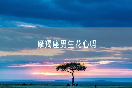 摩羯座男生花心吗(图1) 摩羯座男生花心吗(图1)