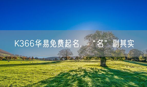 K366华易免费起名，“名”副其实(图1)
