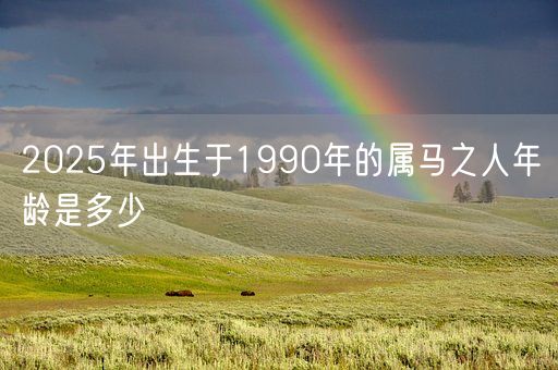 2025年出生于1990年的属马之人年龄是多少(图1) 2025年出生于1990年的属马之人年龄是多少(图1)