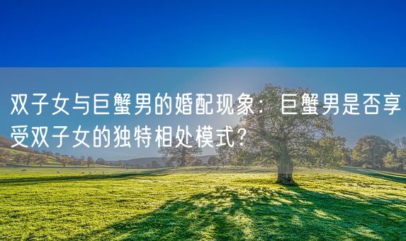 双子女与巨蟹男的婚配现象:巨蟹男是否享受双子女的独特相处模式?(图1) 双子女与巨蟹男的婚配现象:巨蟹男是否享受双子女的独特相处模式?(图1)