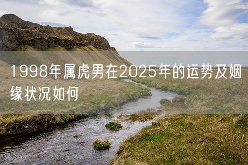 1998年属虎男在2025年的运势及姻缘状况如何(图1)