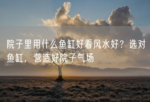 院子里用什么鱼缸好看风水好?选对鱼缸,营造好院子气场(图1) 院子里用什么鱼缸好看风水好?选对鱼缸,营造好院子气场(图1)