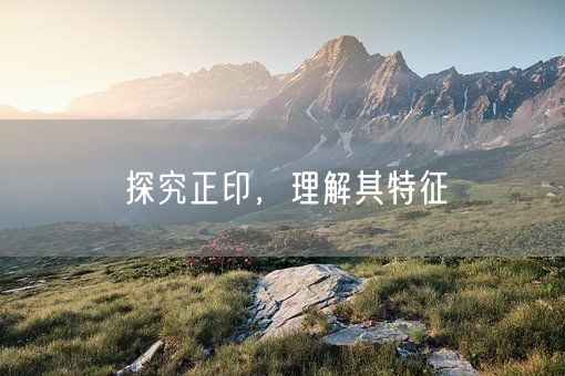 探究正印,理解其特征(图1) 探究正印,理解其特征(图1)