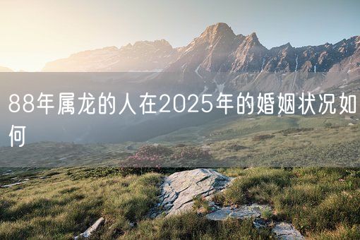 88年属龙的人在2025年的婚姻状况如何(图1) 88年属龙的人在2025年的婚姻状况如何(图1)