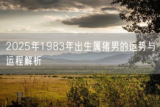 2025年1983年出生属猪男的运势与运程解析(图1) 2025年1983年出生属猪男的运势与运程解析(图1)