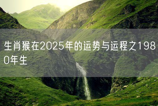 生肖猴在2025年的运势与运程之1980年生(图1) 生肖猴在2025年的运势与运程之1980年生(图1)