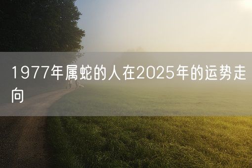 1977年属蛇的人在2025年的运势走向(图1) 1977年属蛇的人在2025年的运势走向(图1)