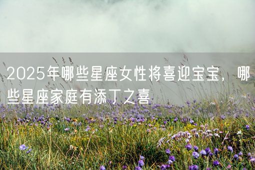 2025年哪些星座女性将喜迎宝宝,哪些星座家庭有添丁之喜(图1) 2025年哪些星座女性将喜迎宝宝,哪些星座家庭有添丁之喜(图1)