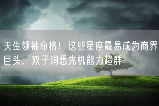 天生领袖命格!这些星座最易成为商界巨头,双子洞悉先机能力超群(图1) 天生领袖命格!这些星座最易成为商界巨头,双子洞悉先机能力超群(图1)