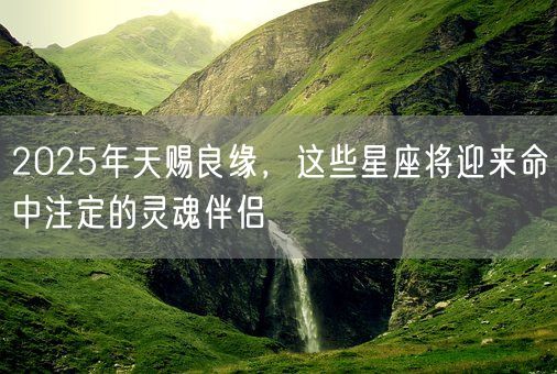 2025年天赐良缘,这些星座将迎来命中注定的灵魂伴侣(图1) 2025年天赐良缘,这些星座将迎来命中注定的灵魂伴侣(图1)