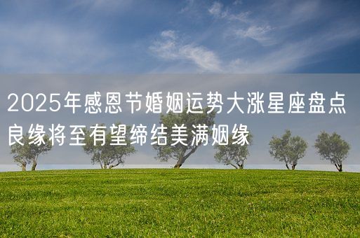 2025年感恩节婚姻运势大涨星座盘点 良缘将至有望缔结美满姻缘(图1)