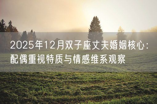 2025年12月双子座丈夫婚姻核心：配偶重视特质与情感维系观察(图1)