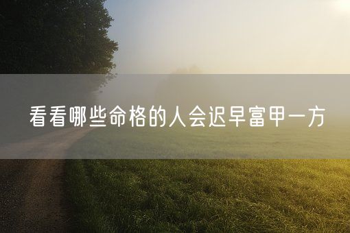 看看哪些命格的人会迟早富甲一方(图1)
