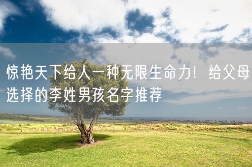 惊艳天下给人一种无限生命力！给父母选择的李姓男孩名字推荐(图1)