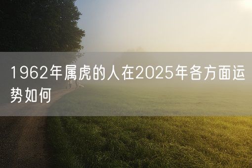 1962年属虎的人在2025年各方面运势如何(图1) 1962年属虎的人在2025年各方面运势如何(图1)