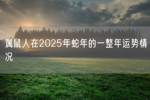 属鼠人在2025年蛇年的一整年运势情况(图1) 属鼠人在2025年蛇年的一整年运势情况(图1)