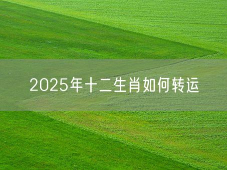 2025年十二生肖如何转运(图1)