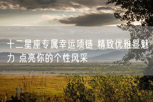 十二星座专属幸运项链 精致优雅显魅力 点亮你的个性风采(图1)