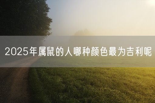 2025年属鼠的人哪种颜色最为吉利呢(图1)