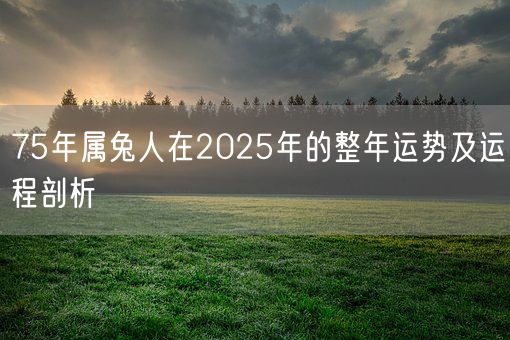 75年属兔人在2025年的整年运势及运程剖析(图1) 75年属兔人在2025年的整年运势及运程剖析(图1)