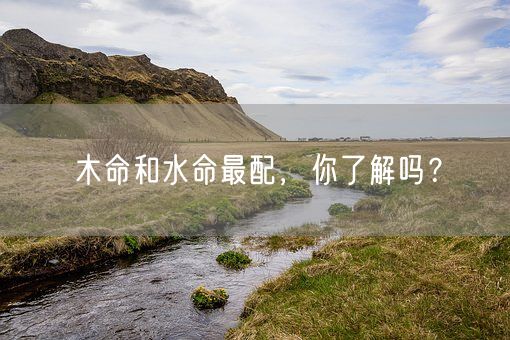 木命和水命最配,你了解吗?(图1) 木命和水命最配,你了解吗?(图1)