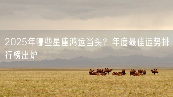 2025年哪些星座鸿运当头?年度最佳运势排行榜出炉(图1) 2025年哪些星座鸿运当头?年度最佳运势排行榜出炉(图1)