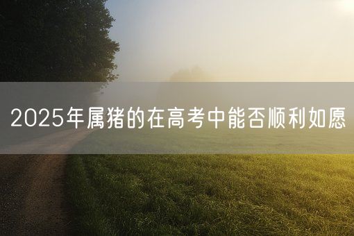 2025年属猪的在高考中能否顺利如愿(图1)