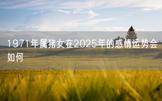 1971年属猪女在2025年的感情运势会如何(图1)