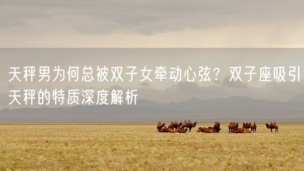 天秤男为何总被双子女牵动心弦?双子座吸引天秤的特质深度解析(图1) 天秤男为何总被双子女牵动心弦?双子座吸引天秤的特质深度解析(图1)