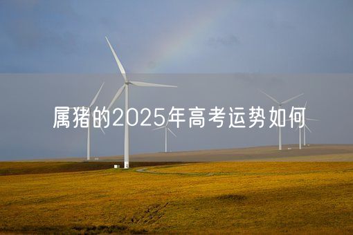 属猪的2025年高考运势如何(图1) 属猪的2025年高考运势如何(图1)