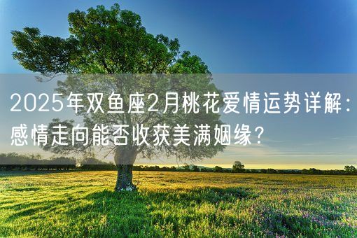 2025年双鱼座2月桃花爱情运势详解：感情走向能否收获美满姻缘？(图1)
